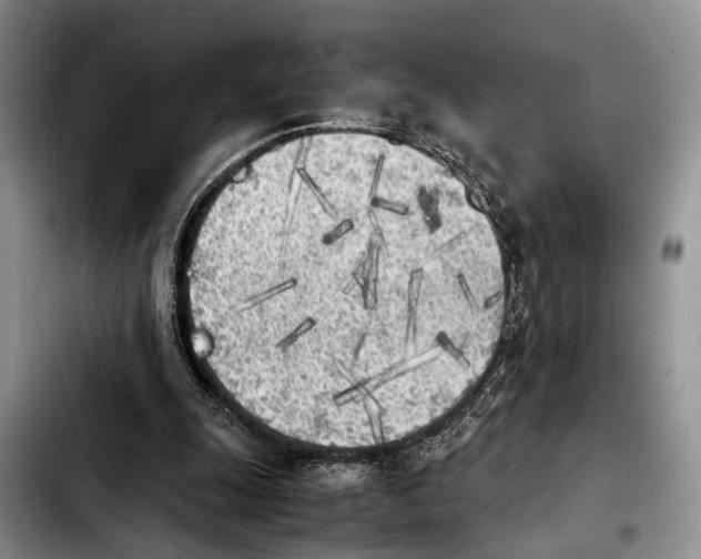 X0000103900247200810101252