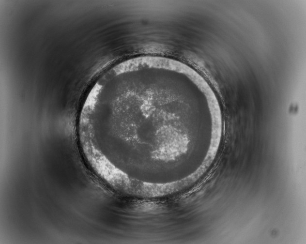 X0000103900249200810101252