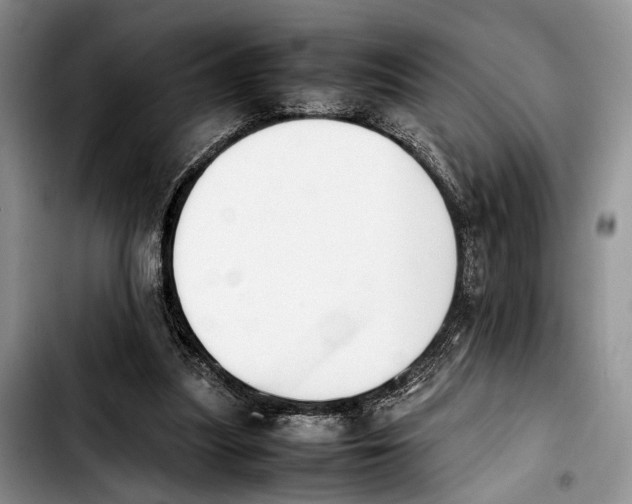 X0000103900251200810101252