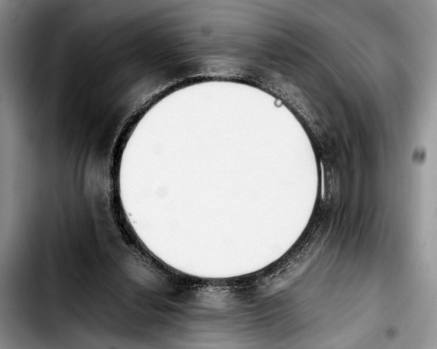 X0000103900252200810101252