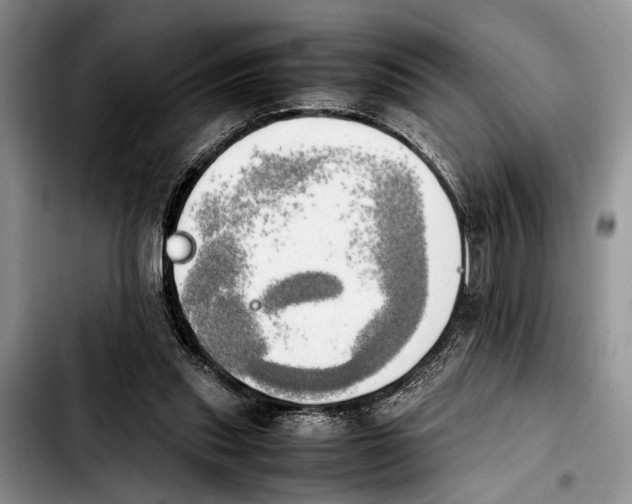 X0000103900253200810101252