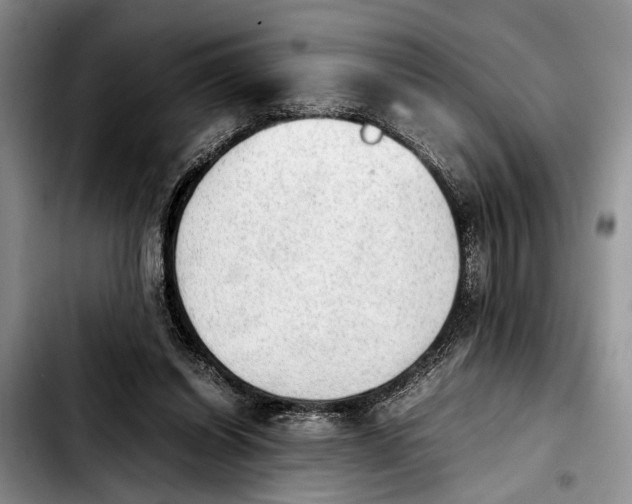 X0000103900254200810101252