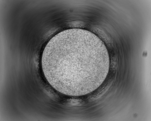 X0000103900255200810101252