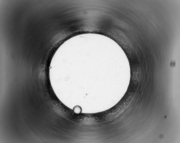 X0000103900256200810101252