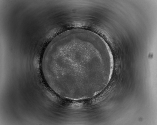 X0000103900257200810101252