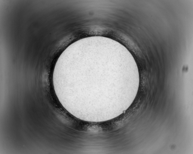 X0000103900258200810101252