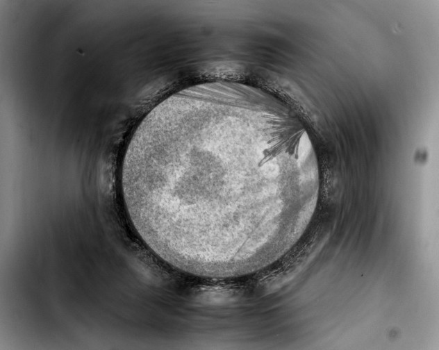 X0000103900259200810101252