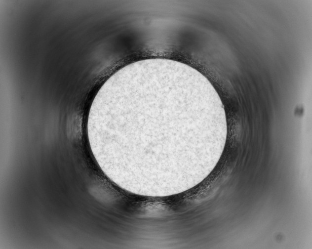 X0000103900262200810101252