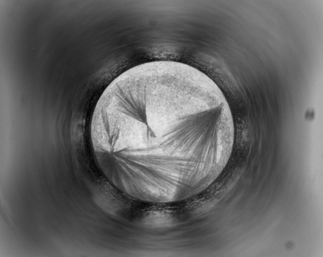 X0000103900263200810101252