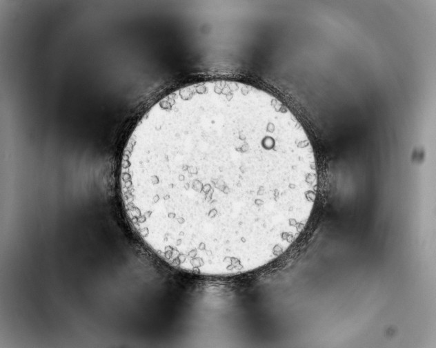 X0000103900264200810101252