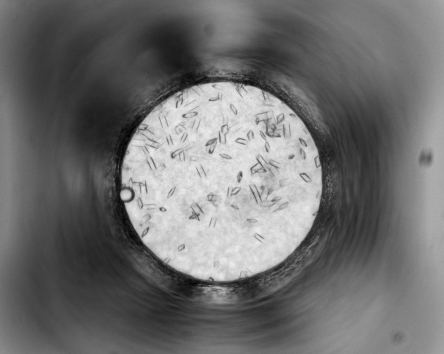 X0000103900265200810101252