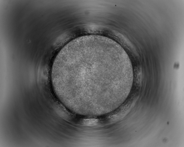 X0000103900266200810101252