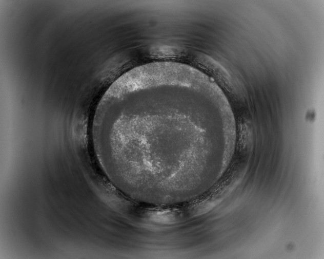 X0000103900267200810101252