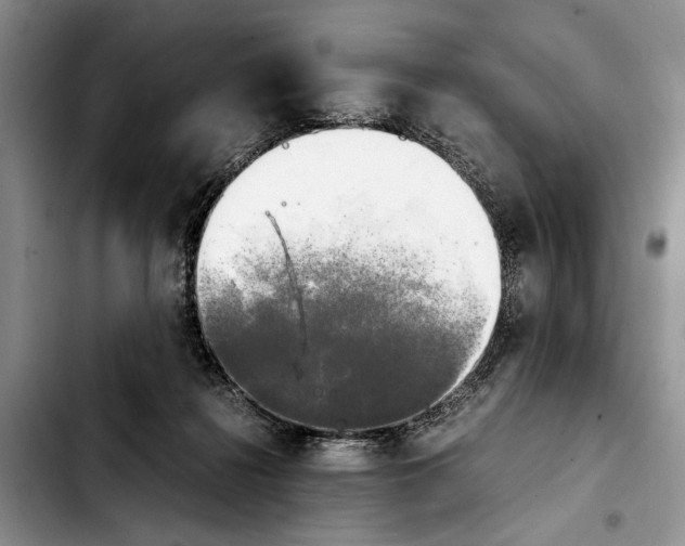 X0000103900268200810101252