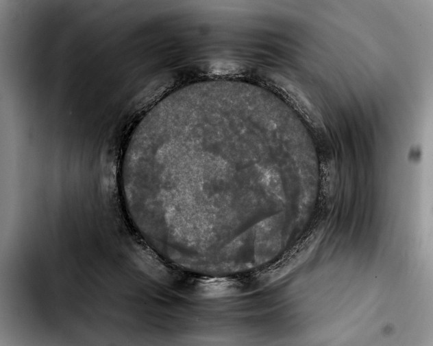 X0000103900269200810101252