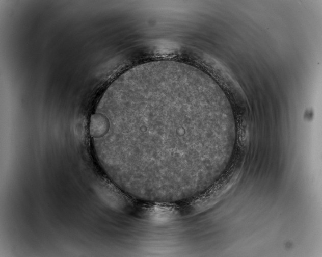 X0000103900270200810101252