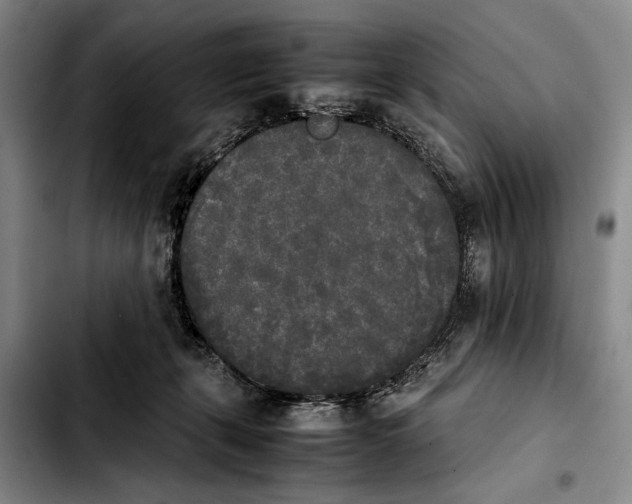 X0000103900271200810101252