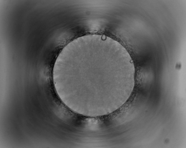 X0000103900272200810101252