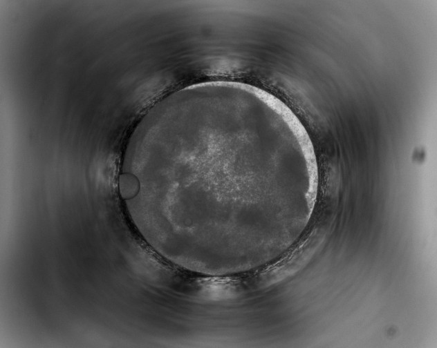 X0000103900273200810101252