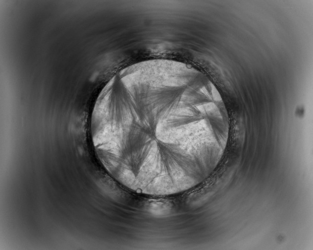 X0000103900275200810101252