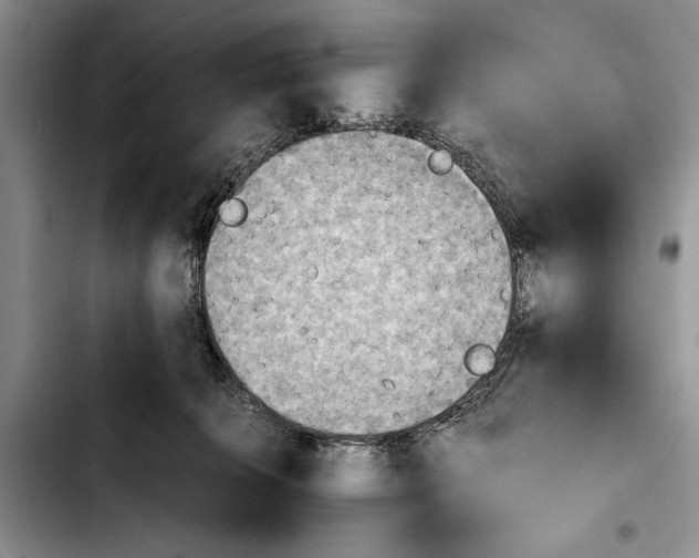 X0000103900276200810101252