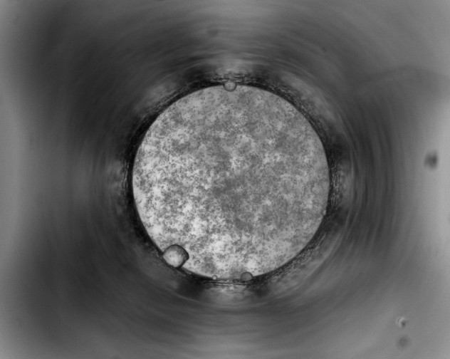 X0000103900278200810101252