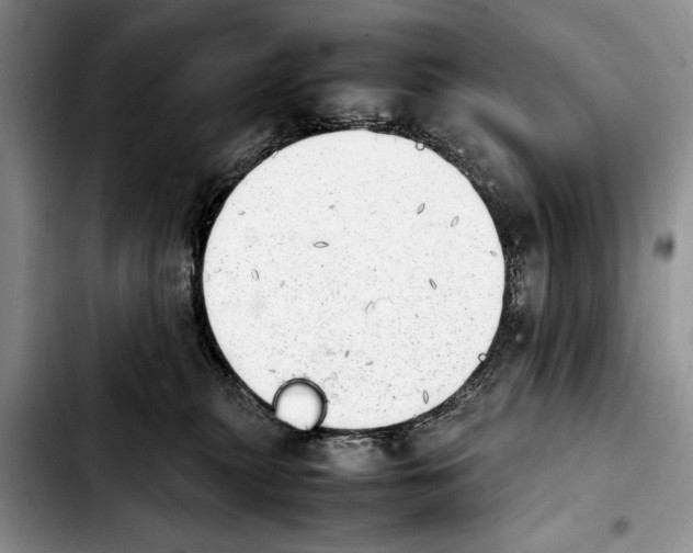 X0000103900279200810101252