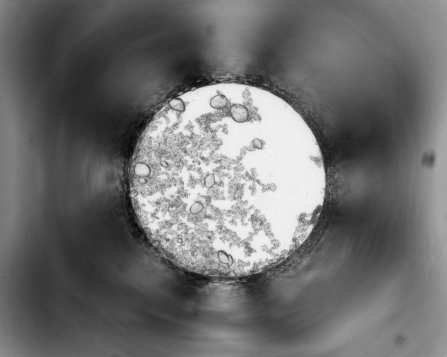 X0000103900280200810101252