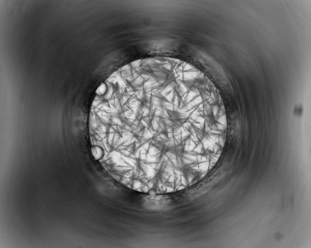 X0000103900281200810101252