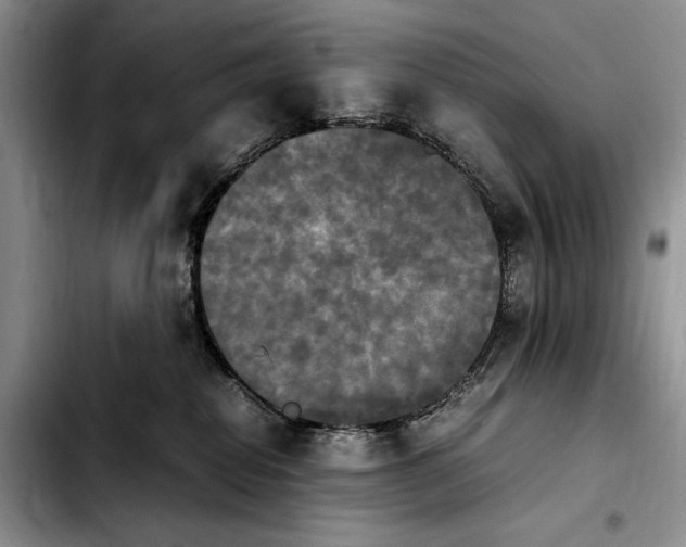 X0000103900282200810101252