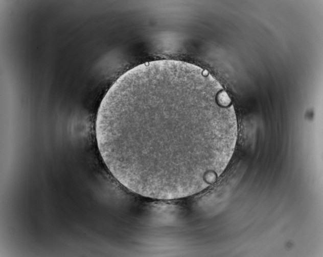 X0000103900284200810101252