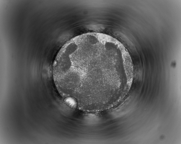 X0000103900285200810101252