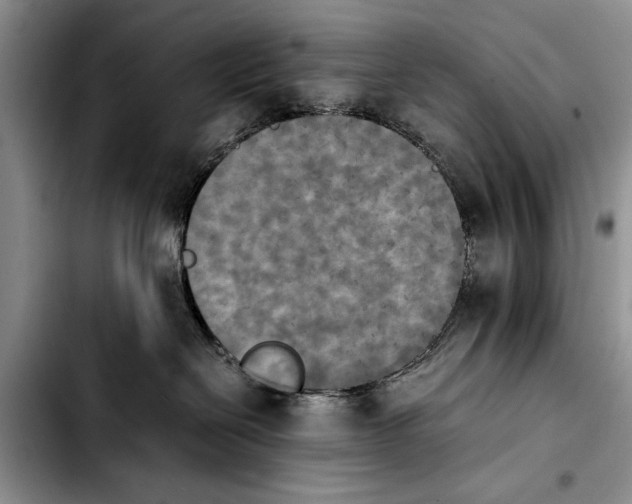 X0000103900286200810101252