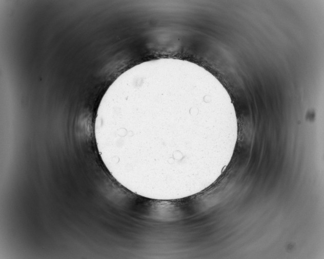 X0000103900287200810101252