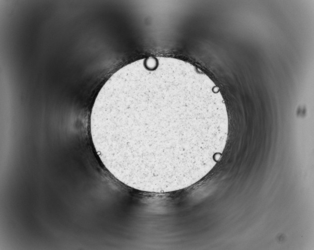 X0000103900288200810101252