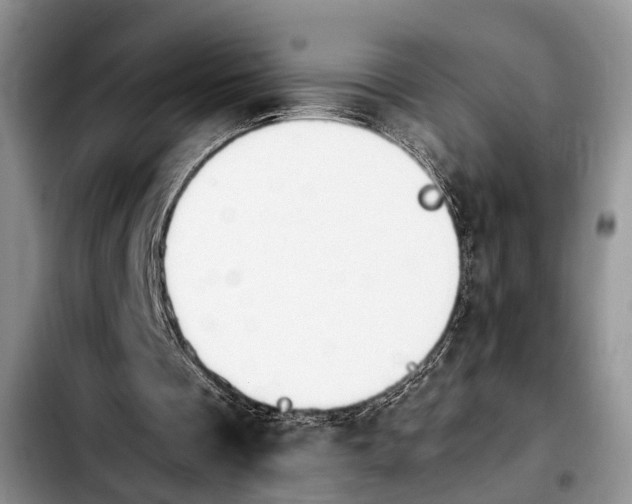 X0000103900289200810101251