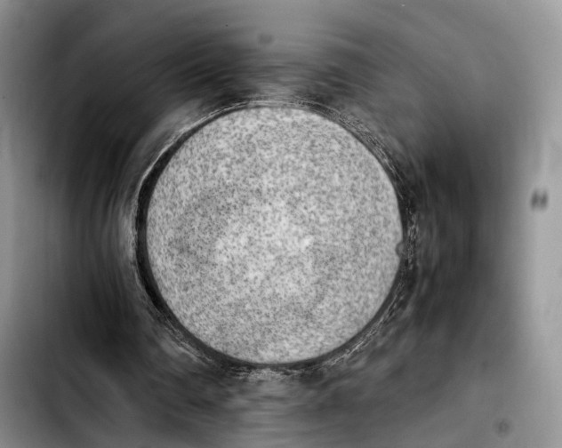 X0000103900290200810101251