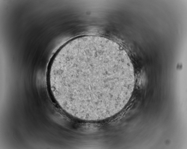 X0000103900292200810101251