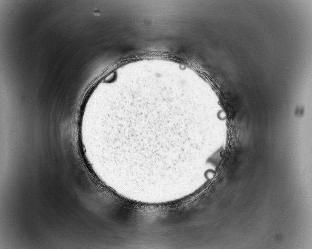 X0000103900293200810101251