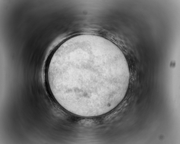 X0000103900294200810101251