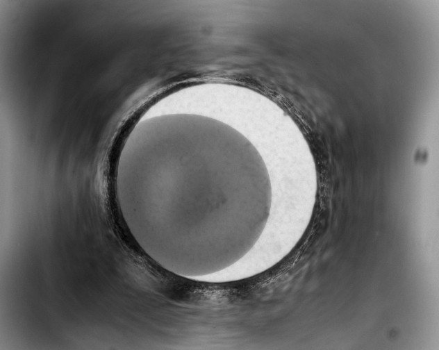 X0000103900295200810101251