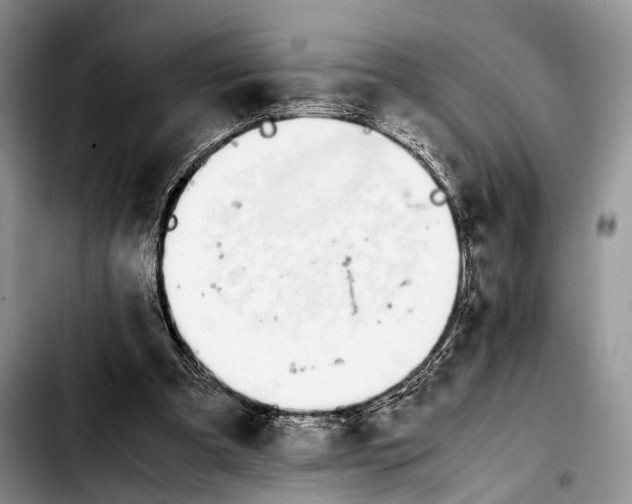 X0000103900297200810101251