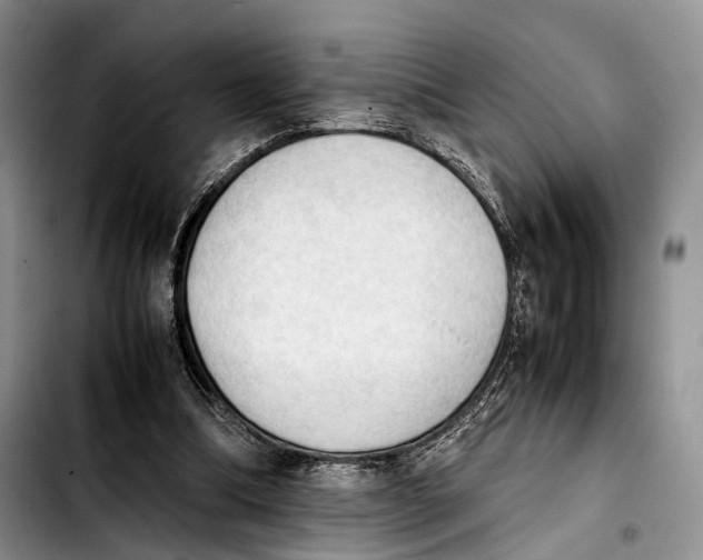 X0000103900298200810101251