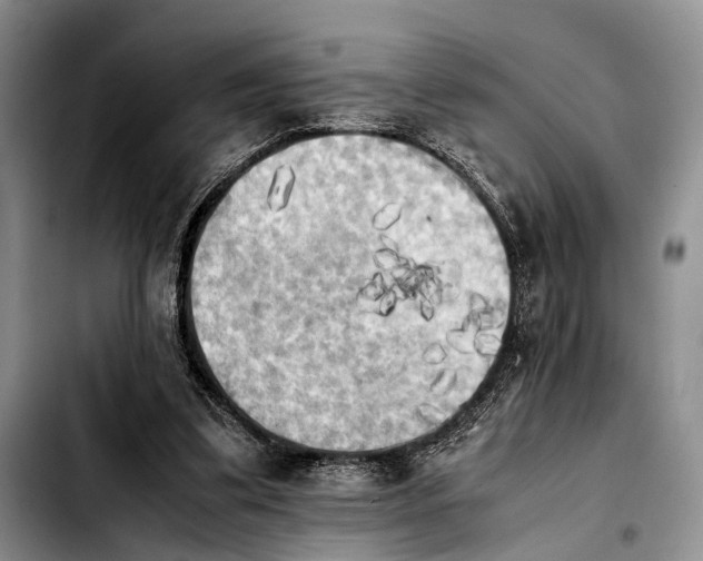 X0000103900299200810101251