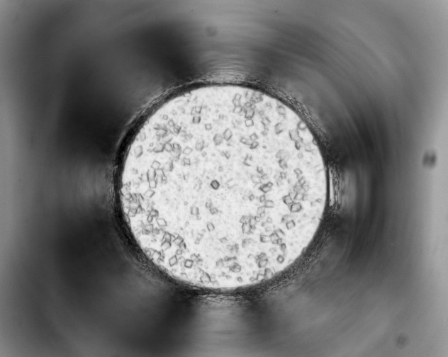 X0000103900300200810101251