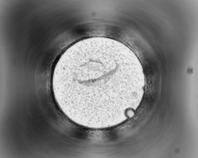 X0000103900301200810101251