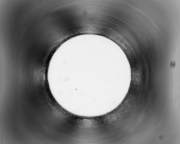 X0000103900302200810101251