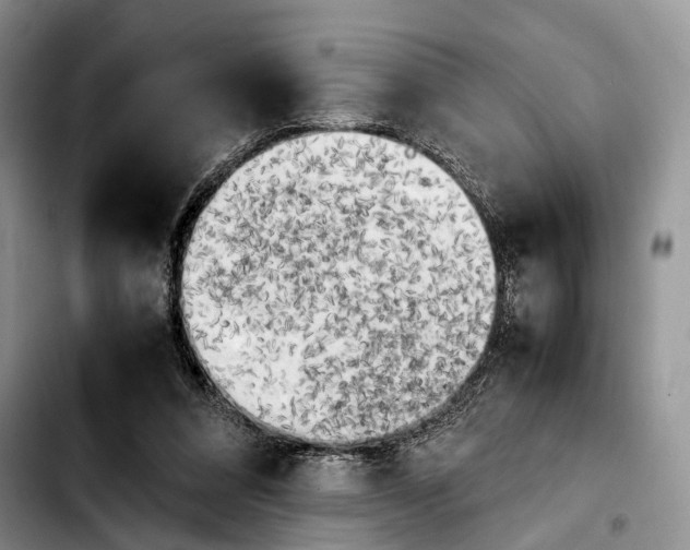 X0000103900304200810101251