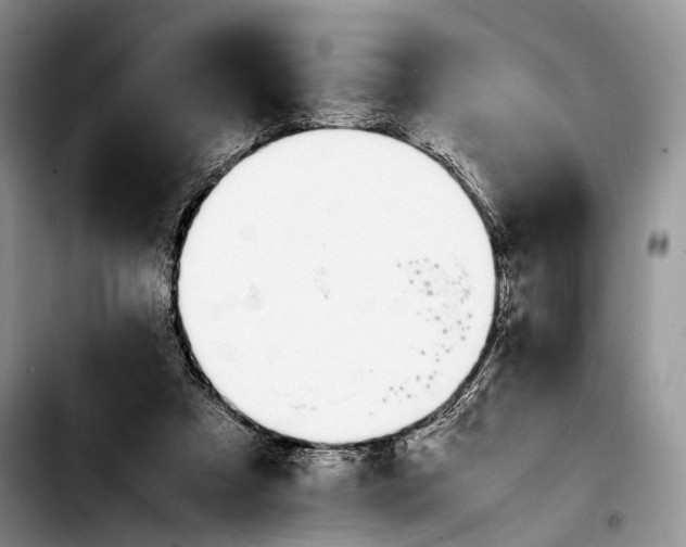 X0000103900305200810101251