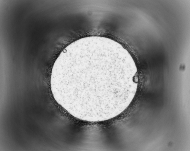 X0000103900307200810101251